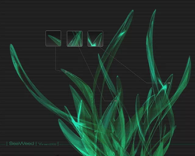 SeaWeed v2