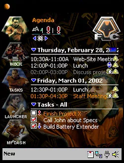 Wolverhampton Wanderers FC