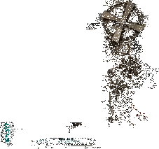 Animus II - T.King©