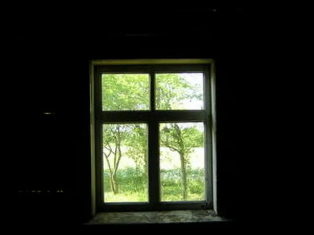 Window to summer