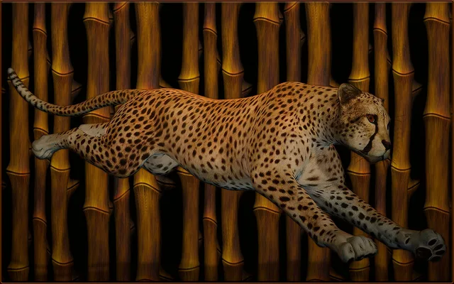 Bamboo Cheetah_varietypak