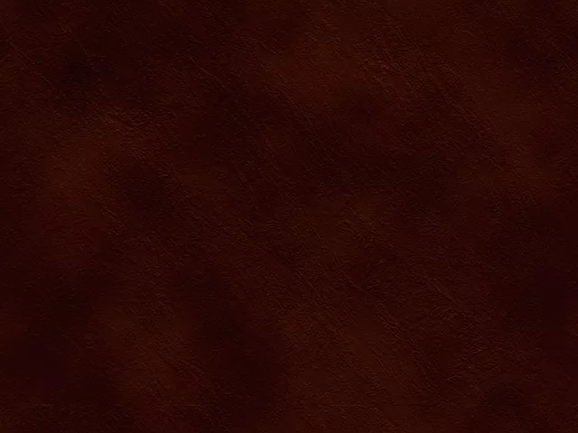 Leather Box with WorkShelf for NextSTART