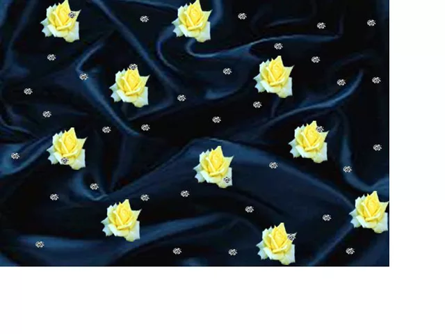 Romance at Midnight2