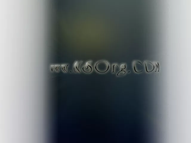 NSOrg New Web Address