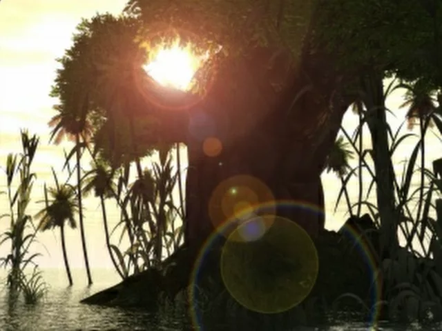 sun through the tree