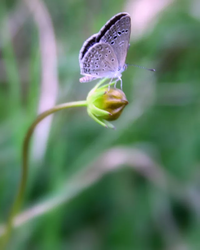 Memories from the Past