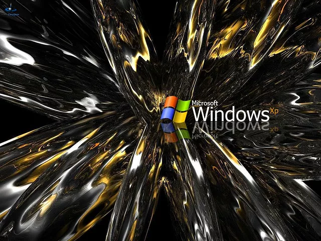 ABSTRACT DESIGN WINDOWS XP