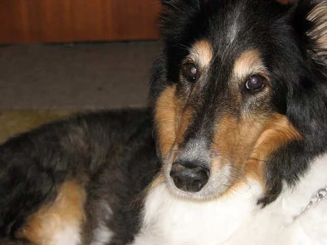 You Lookin&amp;acute; At Me