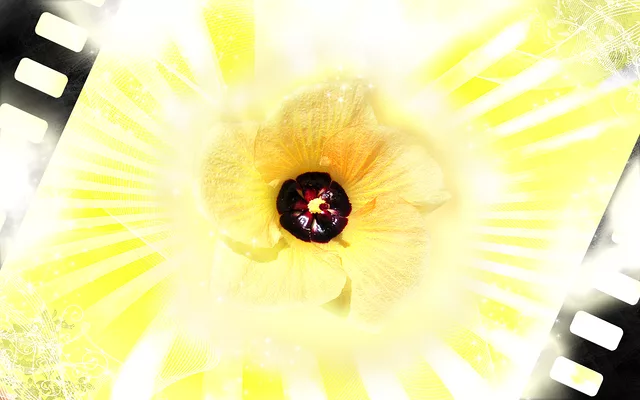 yellow bling flower