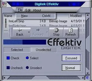 DigiTek Effektiv