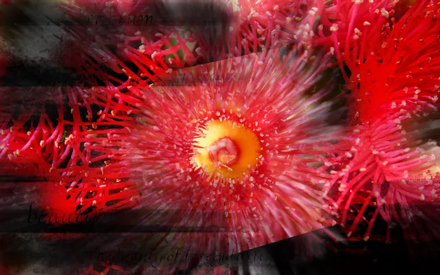 The beauty of irregularity