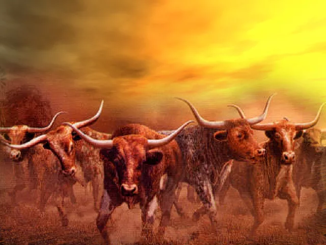 On the Chisolm Trail