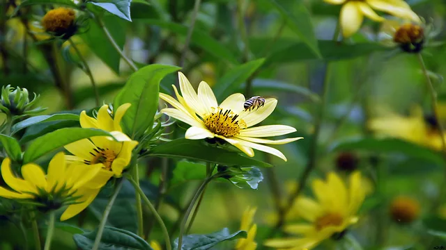Lift Off(Summers Bounty)