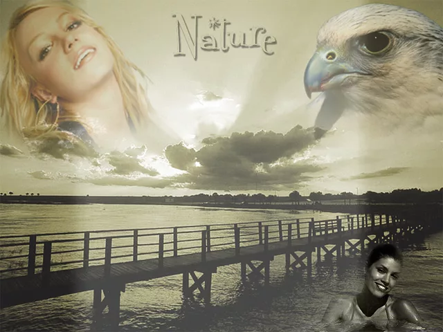 Nature1
