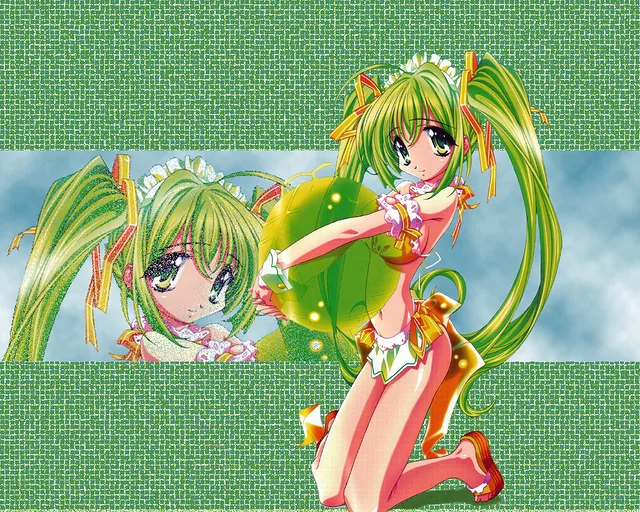 Green Mellon Wallpaper