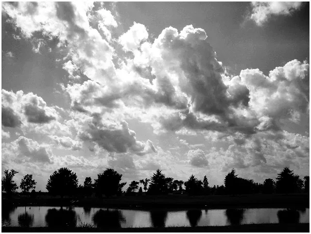 By the Lake B/W