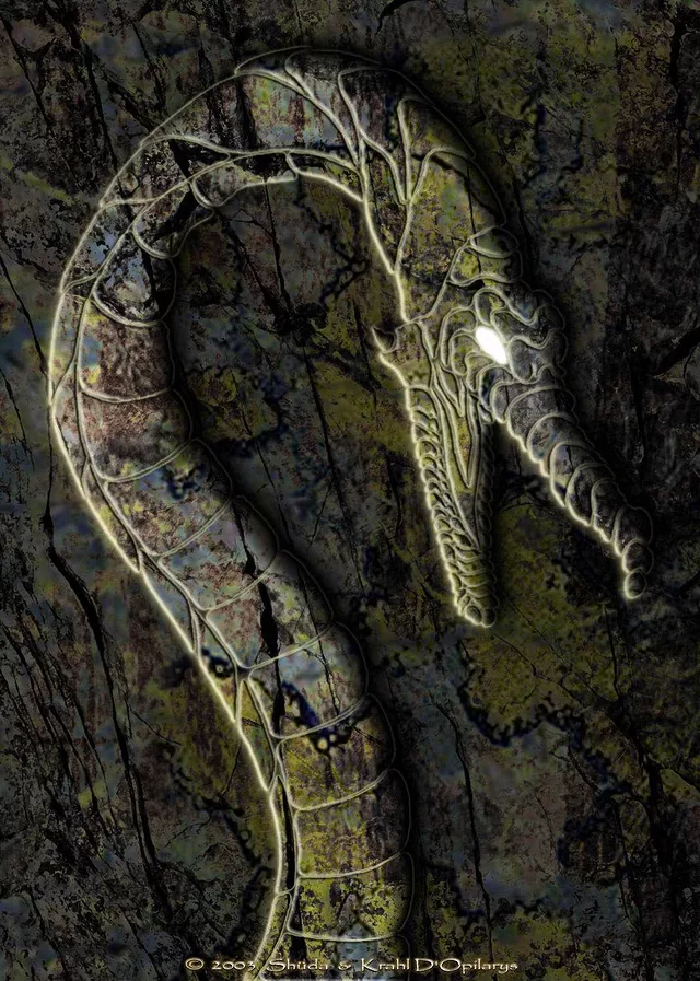 Tryptich of the dragon Ardhran : part one