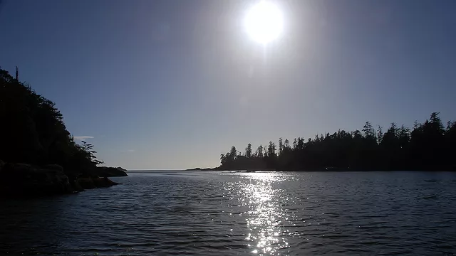 On the Cove (Ucluelet,BC)