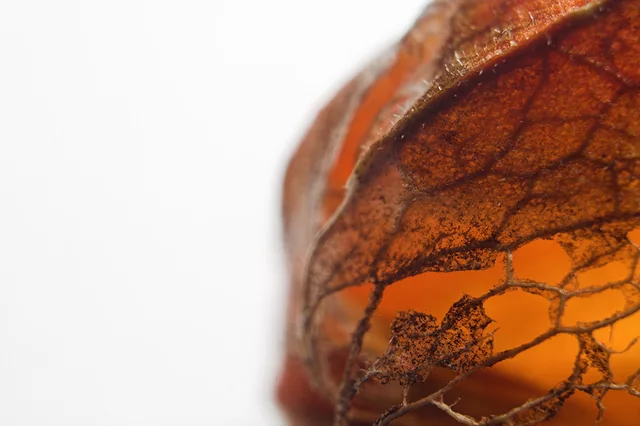 i dont know the name of this fruit