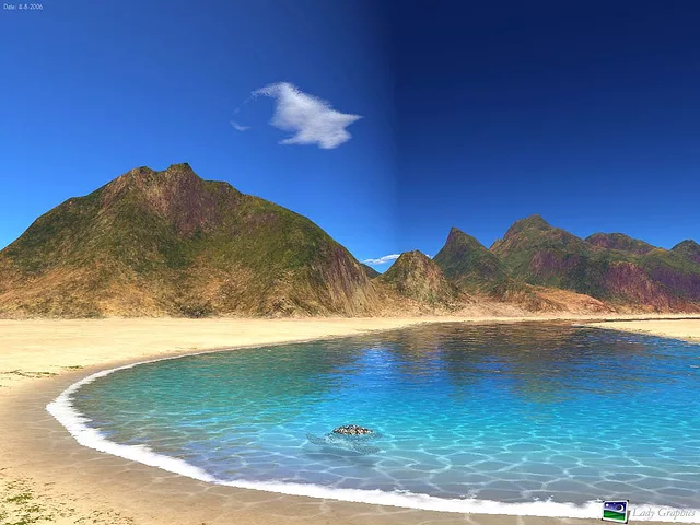 Turtle with Bora Bora