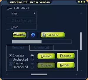 ruinedinc-windowblinds
