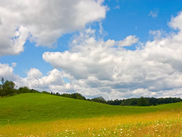 Dreamscape Photograph