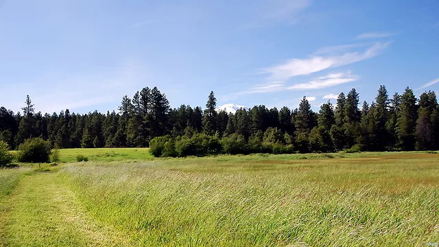 Trail to Mt.Adams-Conboy Lake