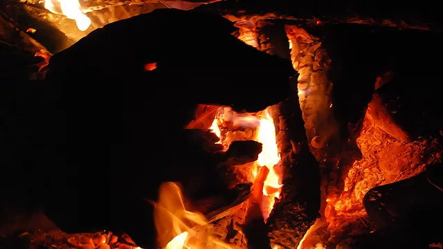 Beast in the Fire