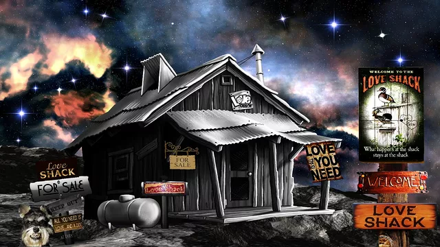 Love Shack For Sale