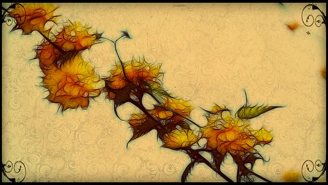 Past dreams of butterflies