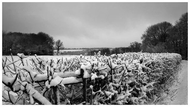 Winter on Kenley Common