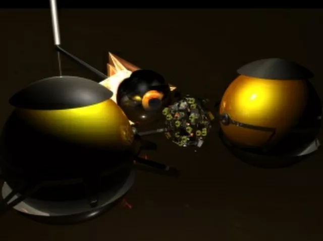 dark-eyed yellow 2011