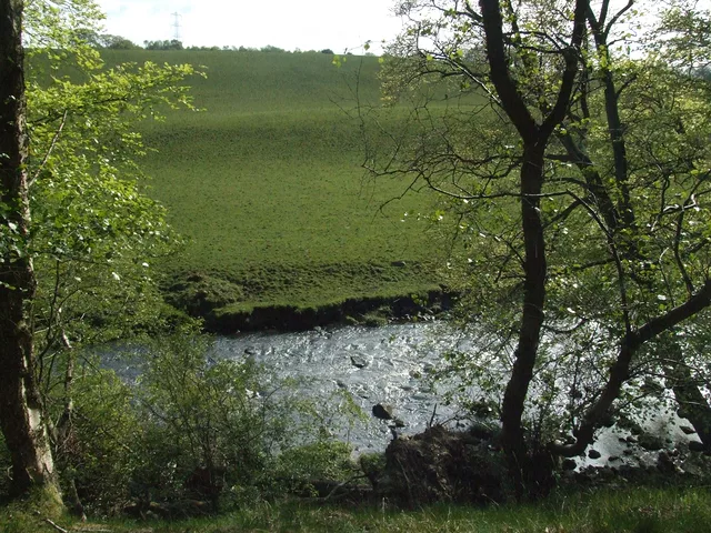 field and trees by Gregor Petrovic