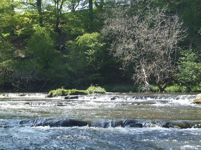 River by Gregor Petrovic