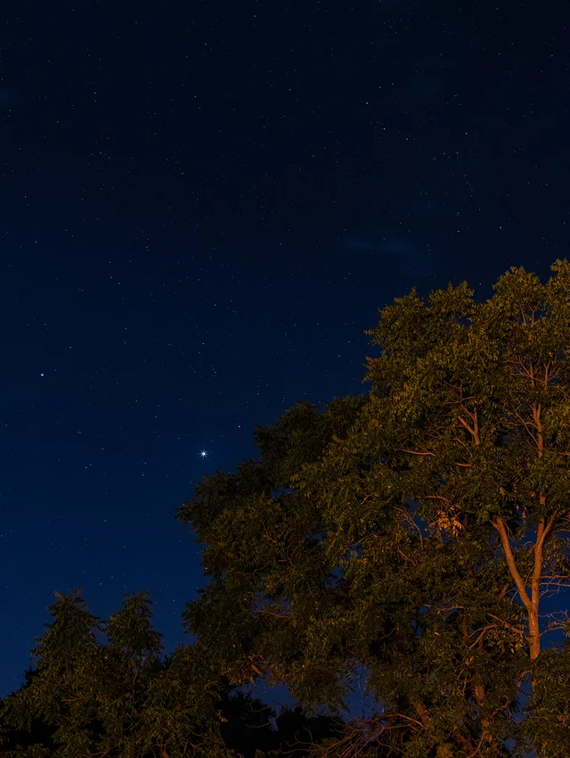 Evening September 4, 2020