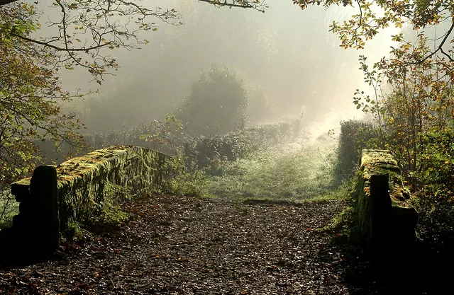 Packhorse Bridge