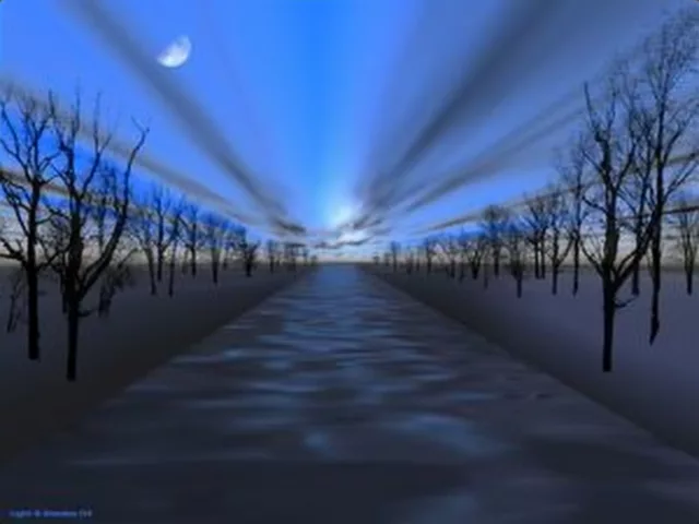 Trees in Perspective 1