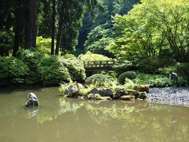 Japanese Garden