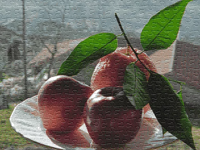 Fruit Puzzle