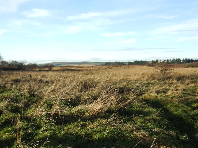 lonliness by Gregor Petrovic