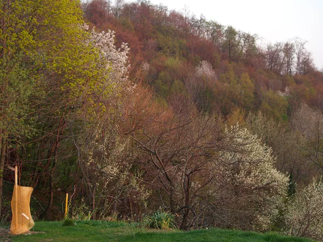 Springtime Boc Slovenia 01