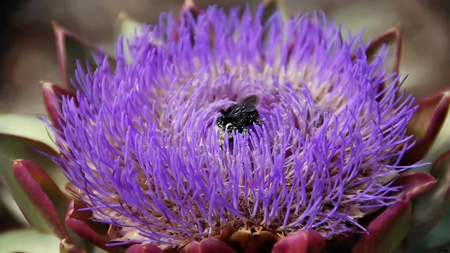 Buried in my work....