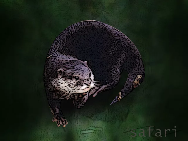 Safari Series-Otter