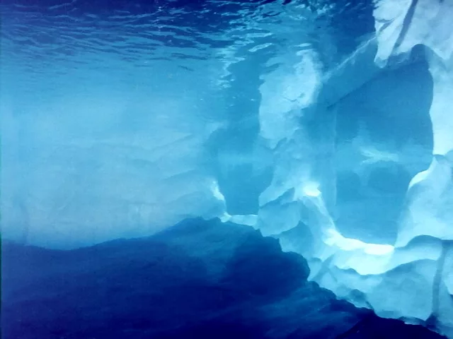 Blue-Viewing Chamber