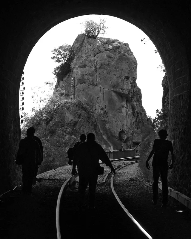 Railway Wilderness No2