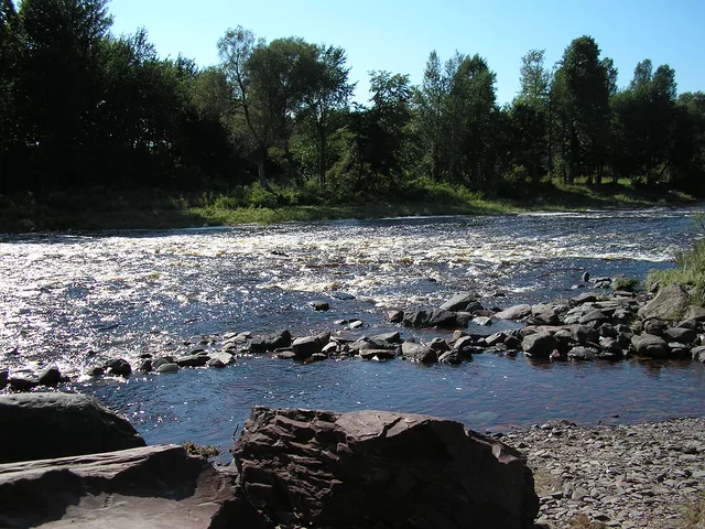 carolle0909Untitled18Aug06A