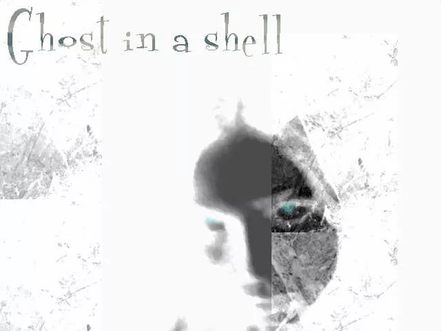 Ghost in a shell
