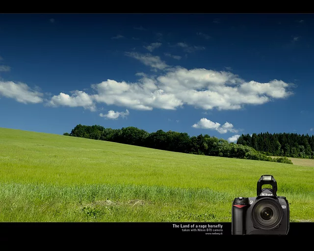 The Land of a rage horsefly