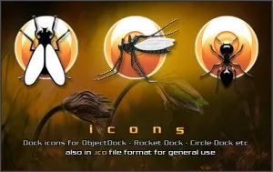 Insects