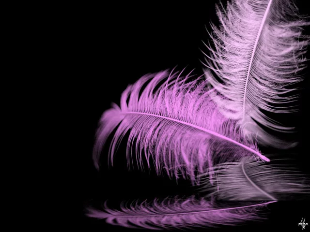Feather